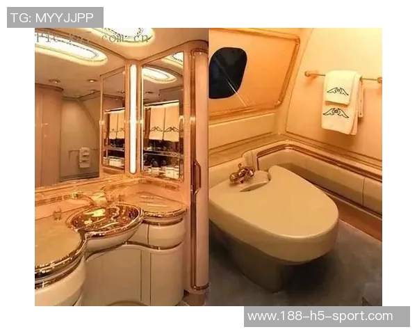 最疯狂的旅行体验皮尔斯分享私人飞机与普通客机厕所的奇妙对比